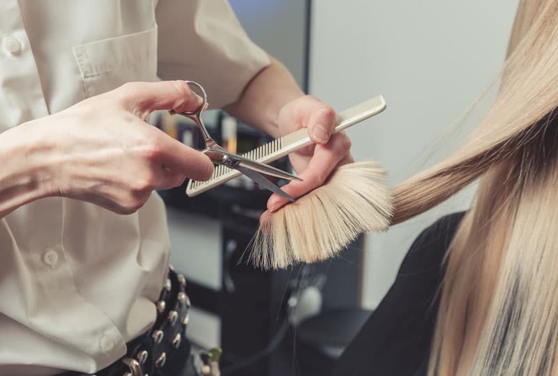 Corte